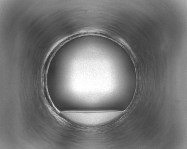 X0000080191124200612081153