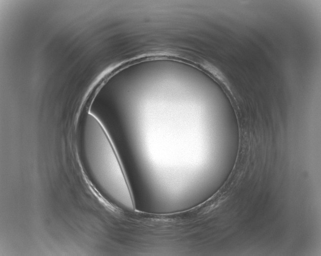 X0000080191127200612081153