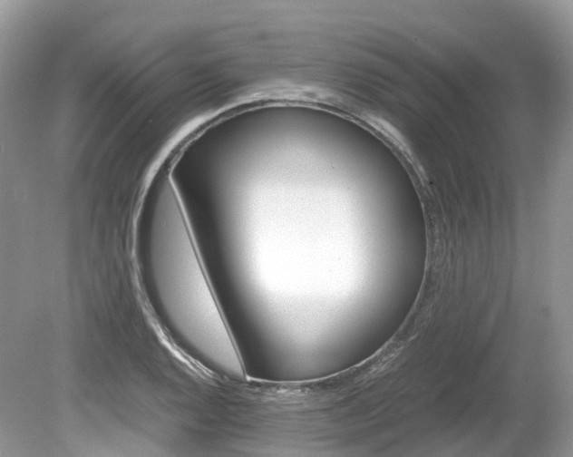 X0000080191128200612081153