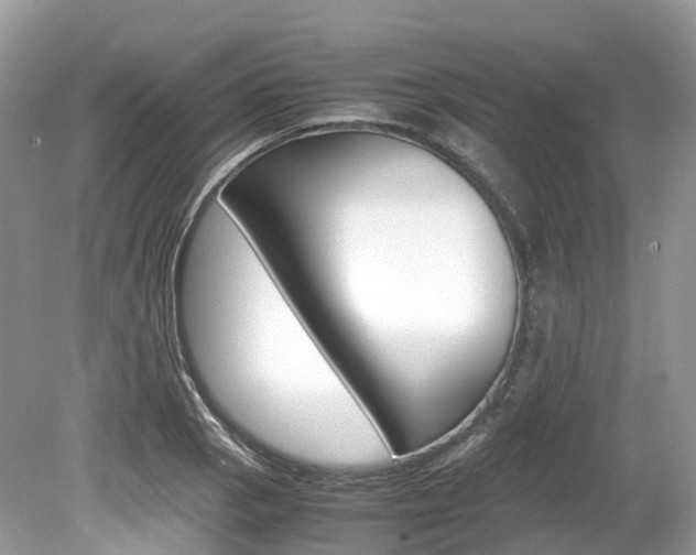 X0000080191129200612081153