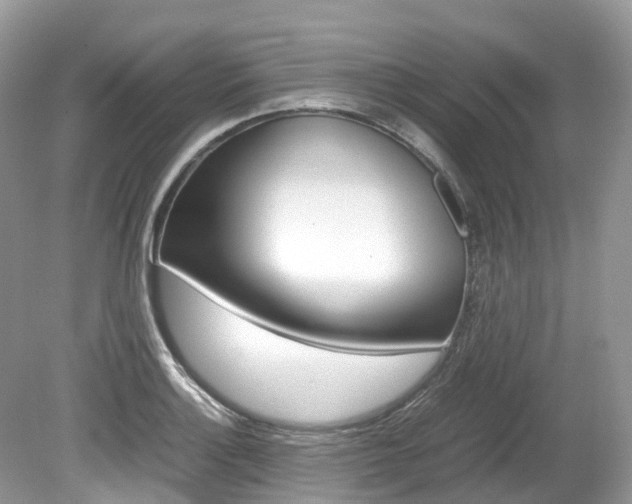X0000080191132200612081153