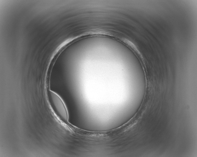 X0000080191133200612081153