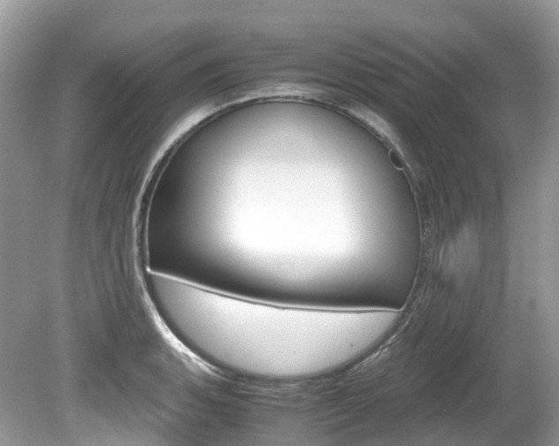 X0000080191135200612081153
