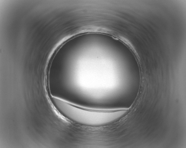 X0000080191136200612081153