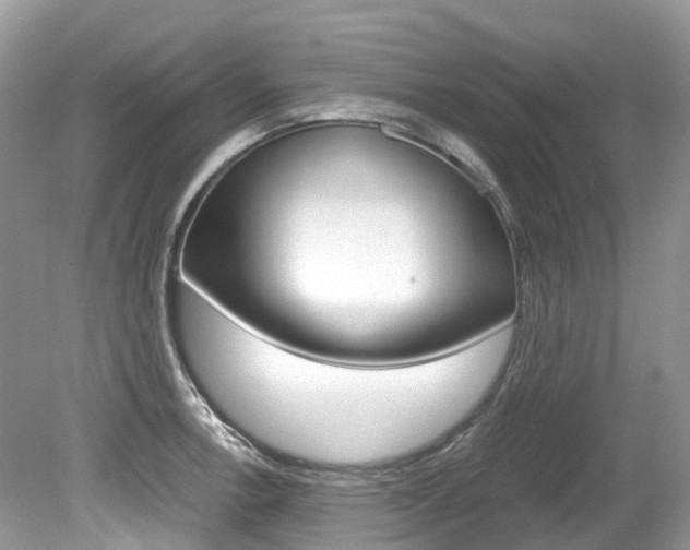 X0000080191138200612081153