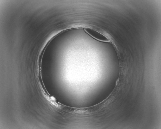 X0000080191140200612081153