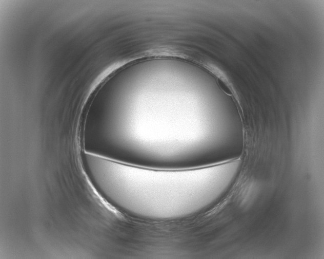 X0000080191141200612081153