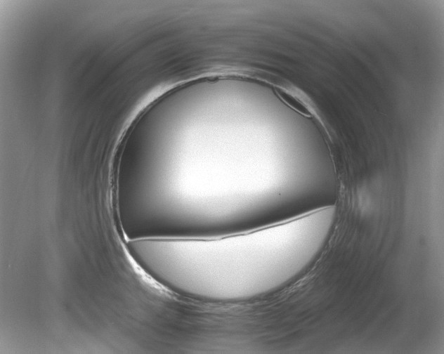 X0000080191143200612081153
