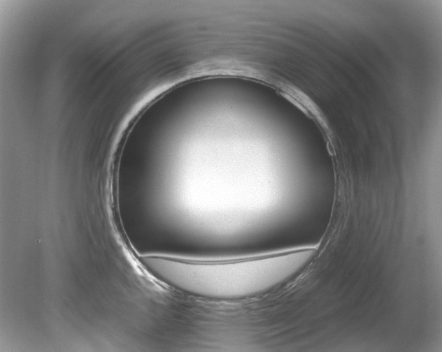 X0000080191144200612081153