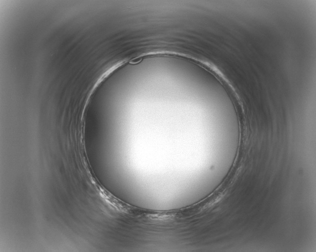 X0000080191145200612081153