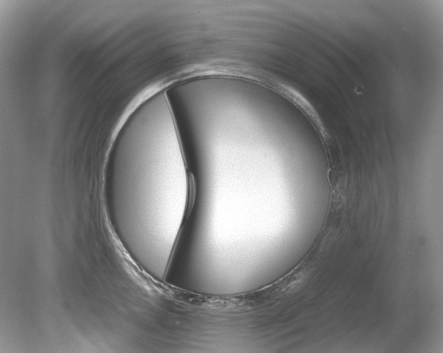 X0000080191146200612081153