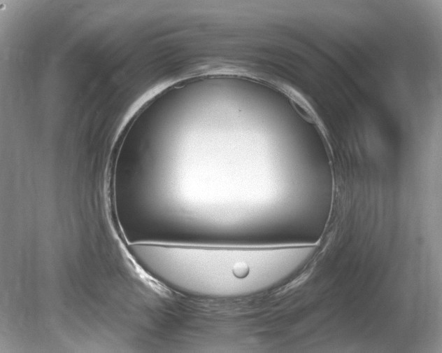 X0000080191149200612081153