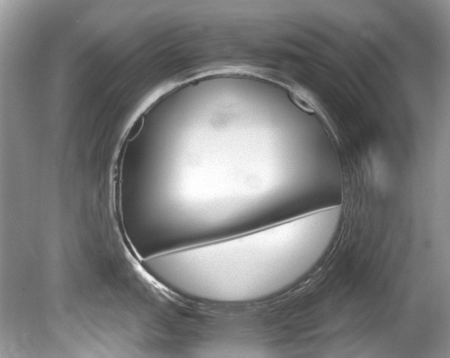 X0000080191151200612081153