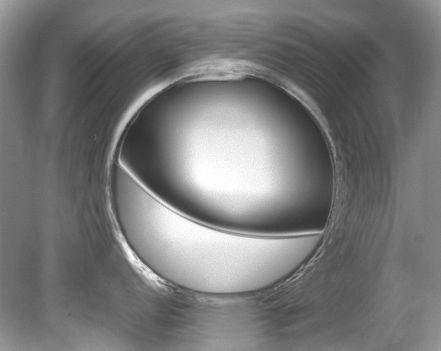 X0000080191152200612081153