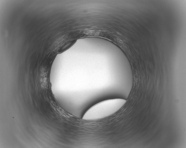 X0000080191154200612081152