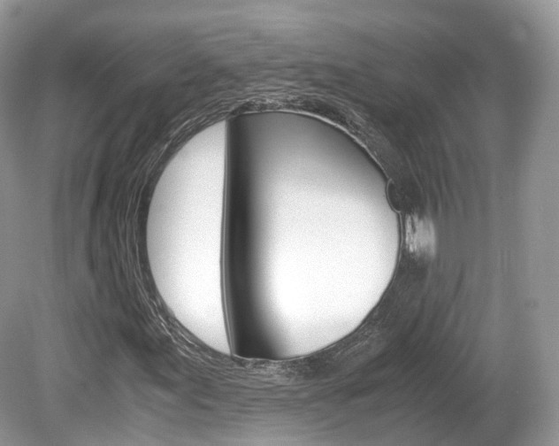 X0000080191155200612081152