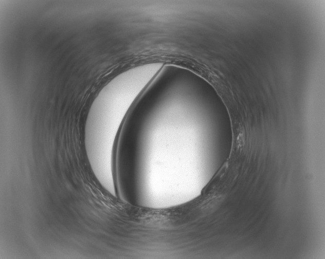 X0000080191156200612081152