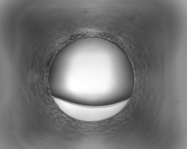 X0000080191157200612081152