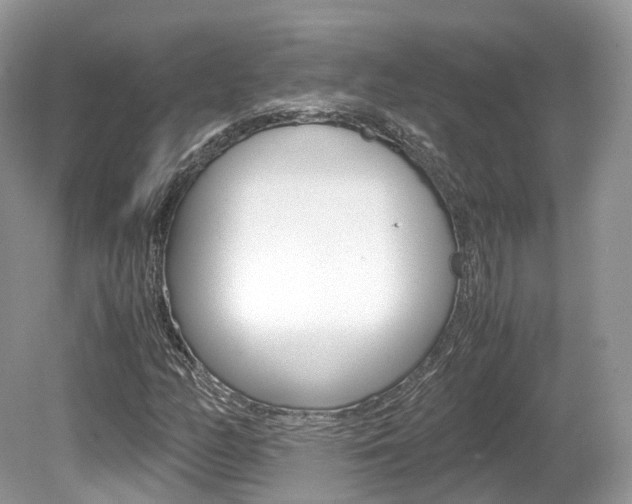 X0000080191158200612081152