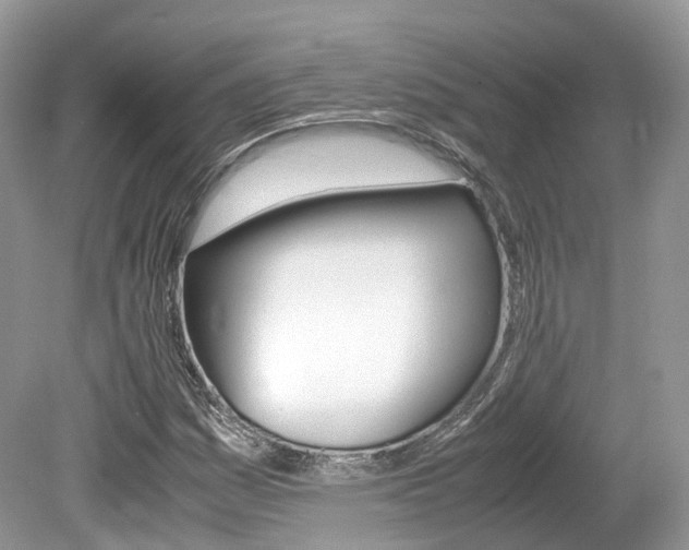 X0000080191161200612081152