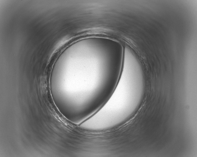 X0000080191164200612081152
