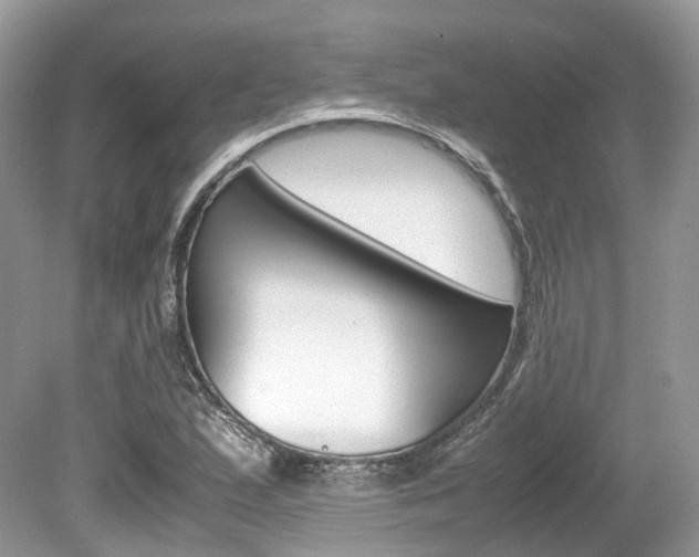 X0000080191167200612081152