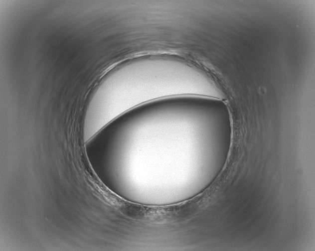 X0000080191169200612081152