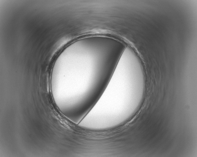 X0000080191171200612081152