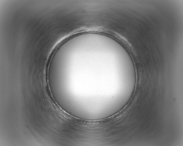 X0000080191174200612081152