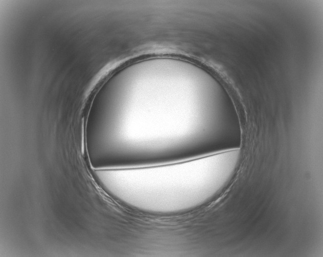 X0000080191175200612081152