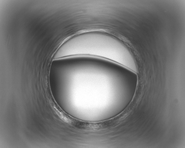 X0000080191177200612081152