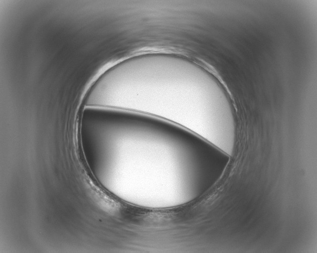 X0000080191179200612081152