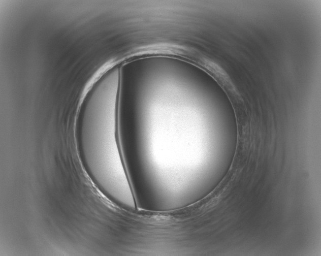 X0000080191180200612081152