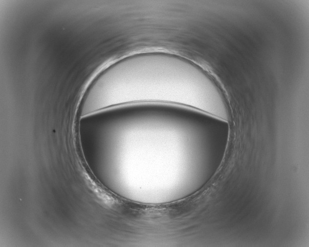 X0000080191181200612081152