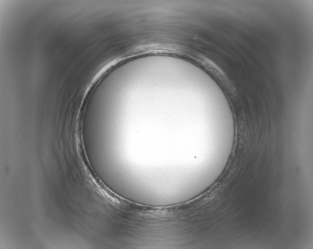 X0000080191182200612081152