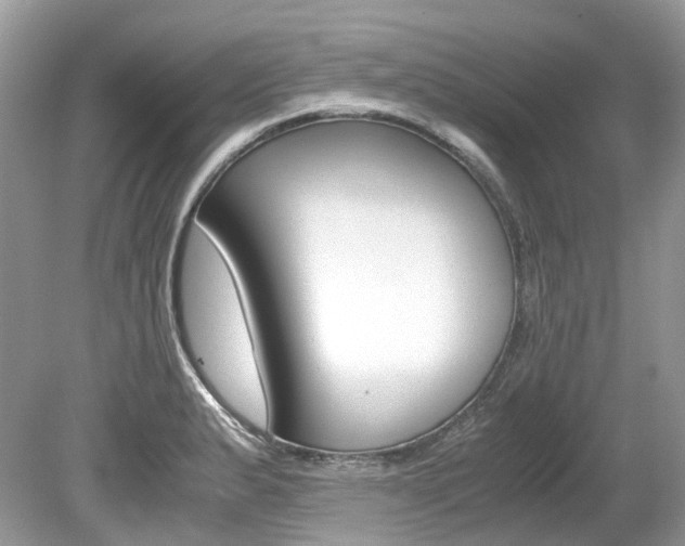 X0000080191183200612081152
