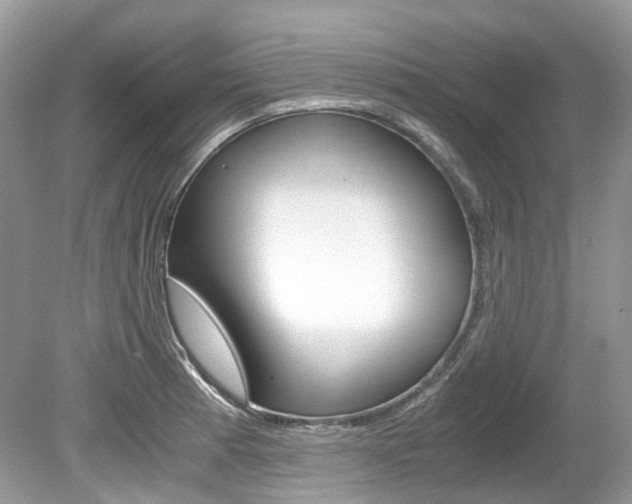 X0000080191185200612081152