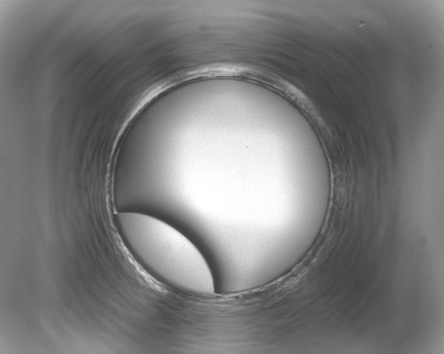 X0000080191186200612081152