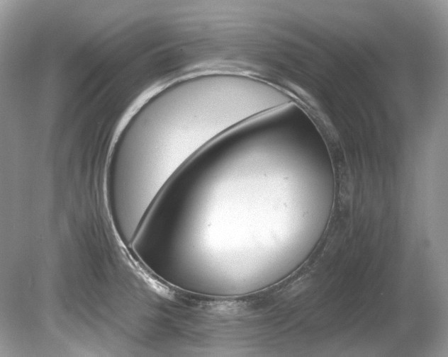 X0000080191188200612081152