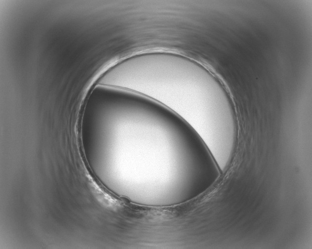 X0000080191189200612081152