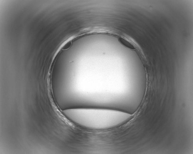 X0000080191190200612081152
