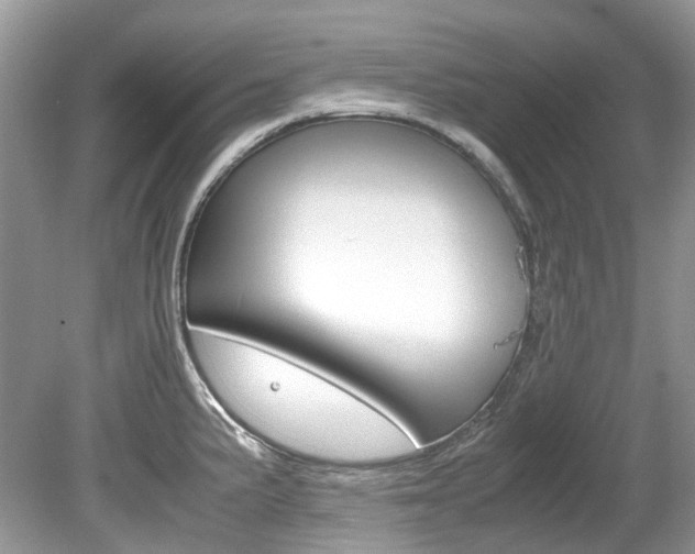 X0000080191191200612081152