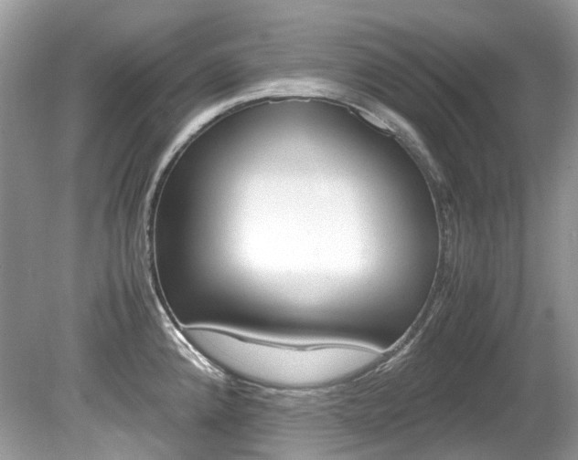 X0000080191192200612081152