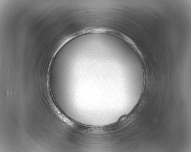 X0000080191194200612081152