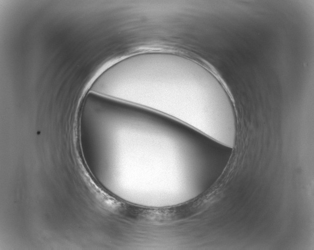 X0000080191195200612081152