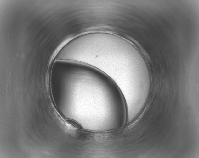 X0000080191196200612081152