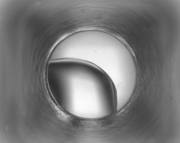 X0000080191197200612081152