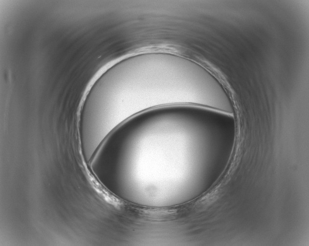 X0000080191200200612081152