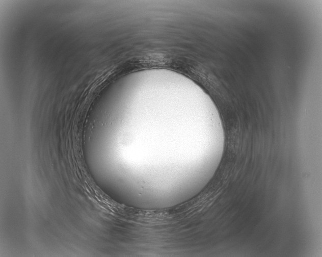 X0000080191201200612081151