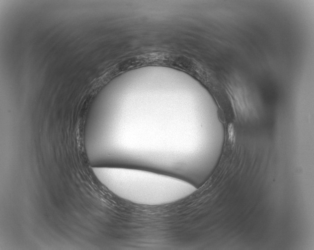 X0000080191203200612081151